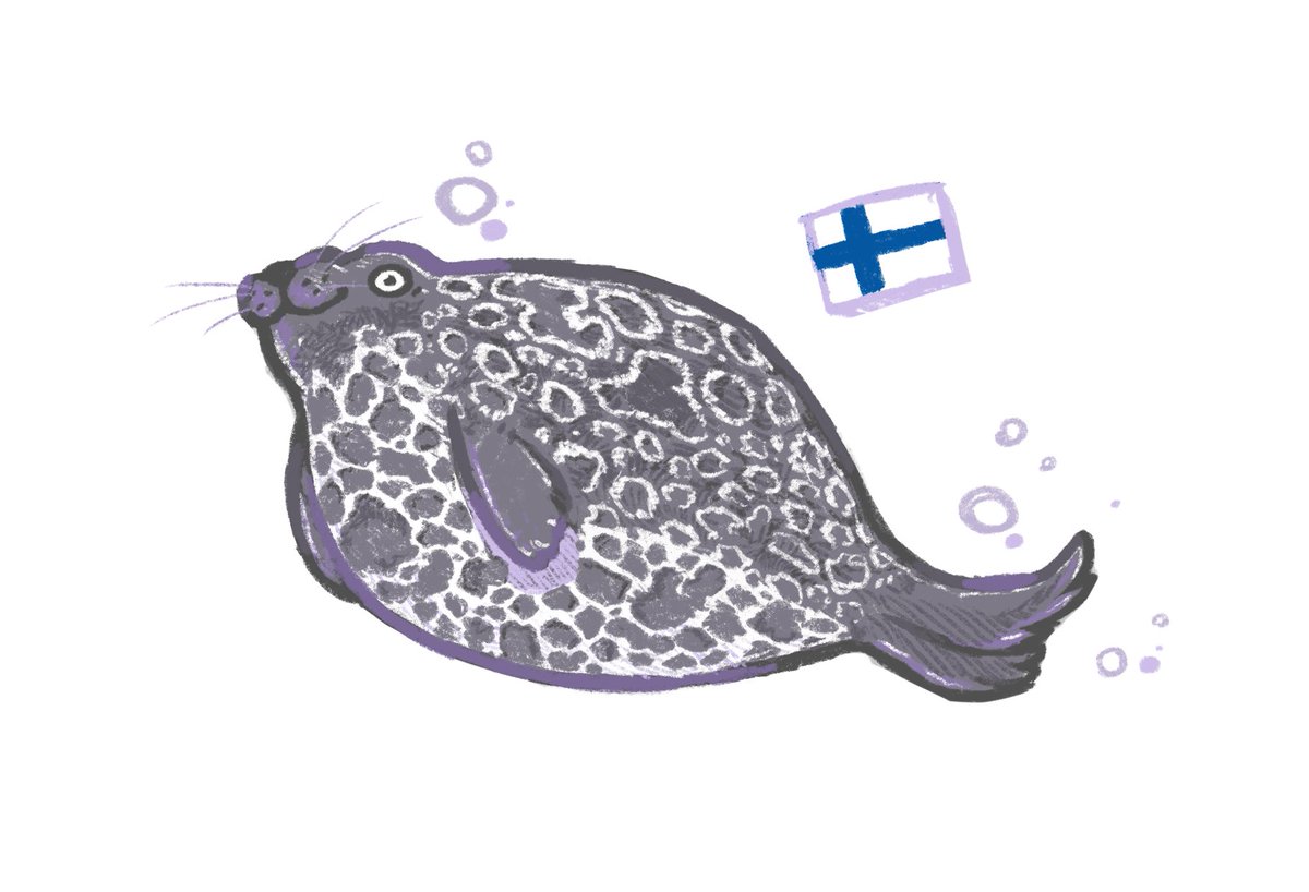 The elusive and rare Saimaa ringed seal 🇫🇮 ~

My wife actually saw this chonker for a very brief moment! I missed it 😭 guess I'll have to come back ;)