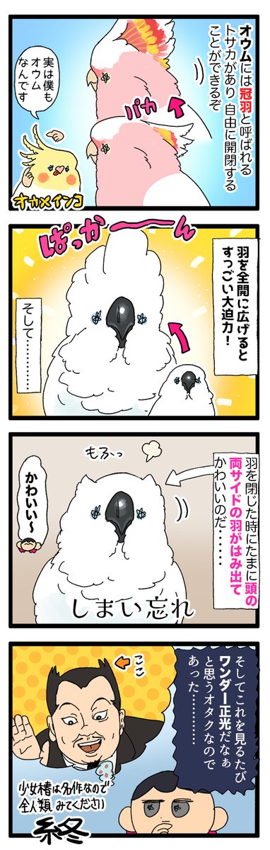 オウムちゃんの羽のしまい忘れ毛、ミミズクみたいになってて可愛い🥹

2177 #えるポピの絵日記かくところ 