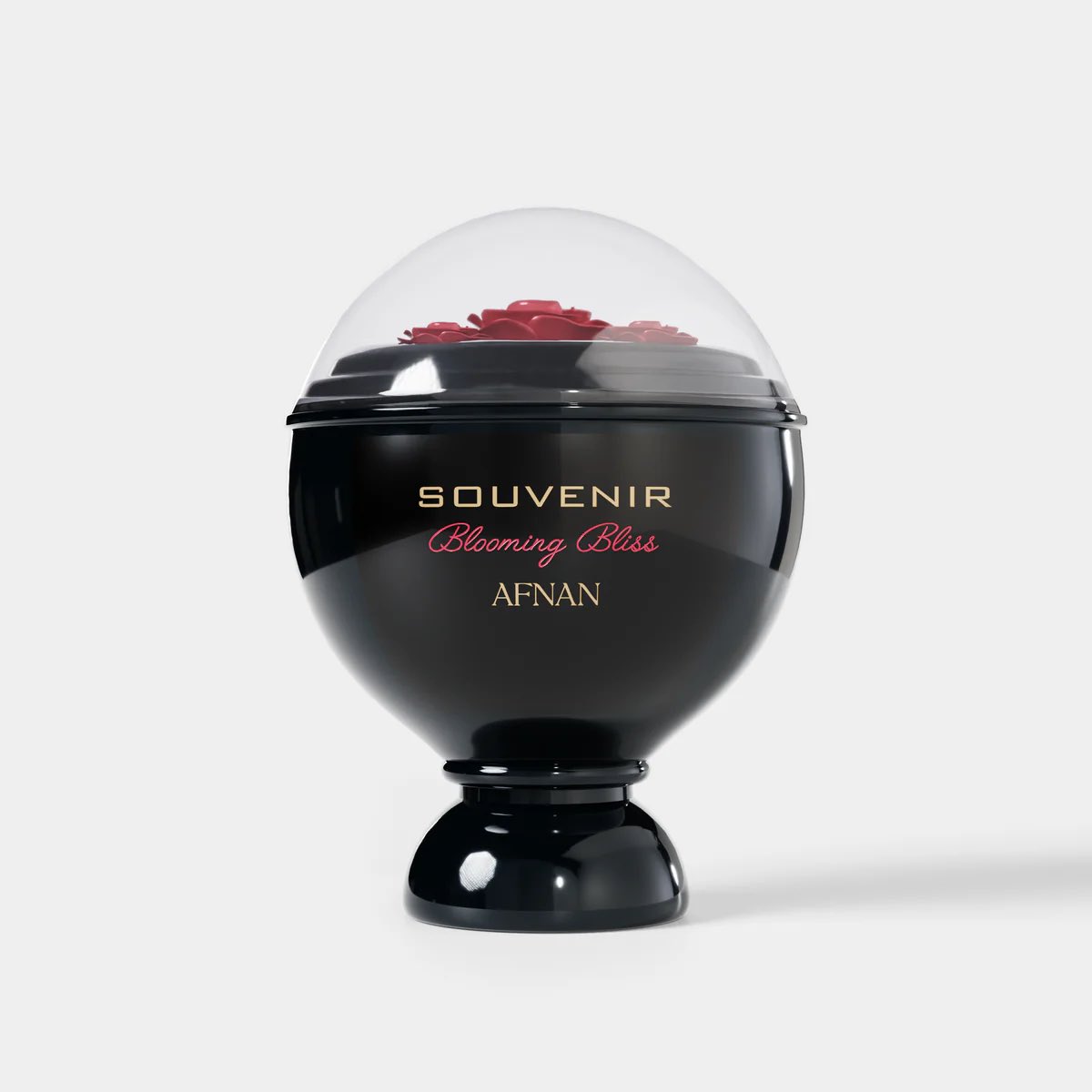 Afnan Souvenir Blooming Bliss

🏷️55k