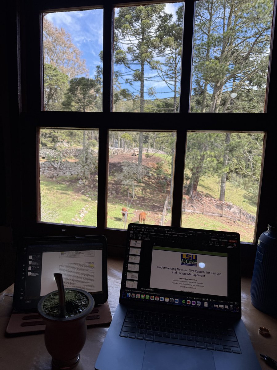 Leandro O. Vieira II tweet media