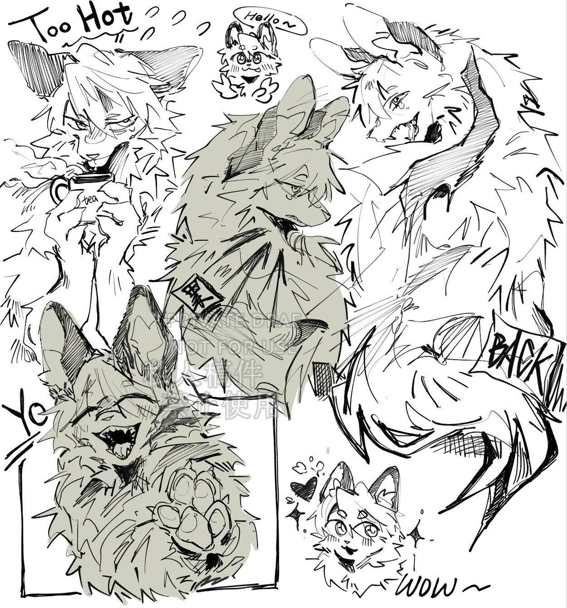 杜松Gin tweet media