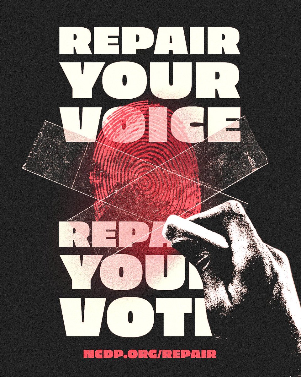 Republicans are trying to erase 80,000 voters from the rolls and you could be one of them. Don’t let them silence you. Repair your voice, repair your vote.
