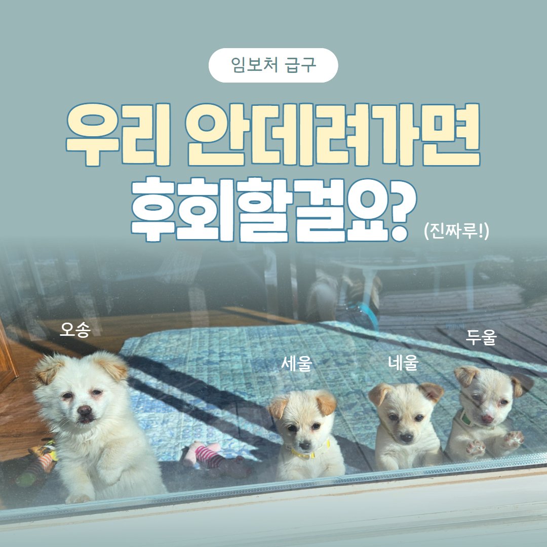 눈누난나❤(사)엔젤프로젝트 tweet media