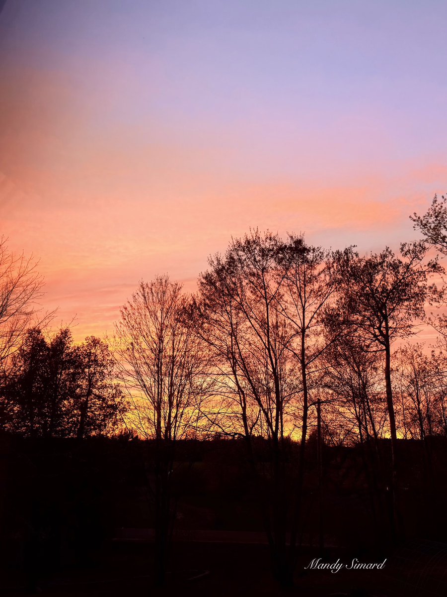 Mandy Simard tweet media