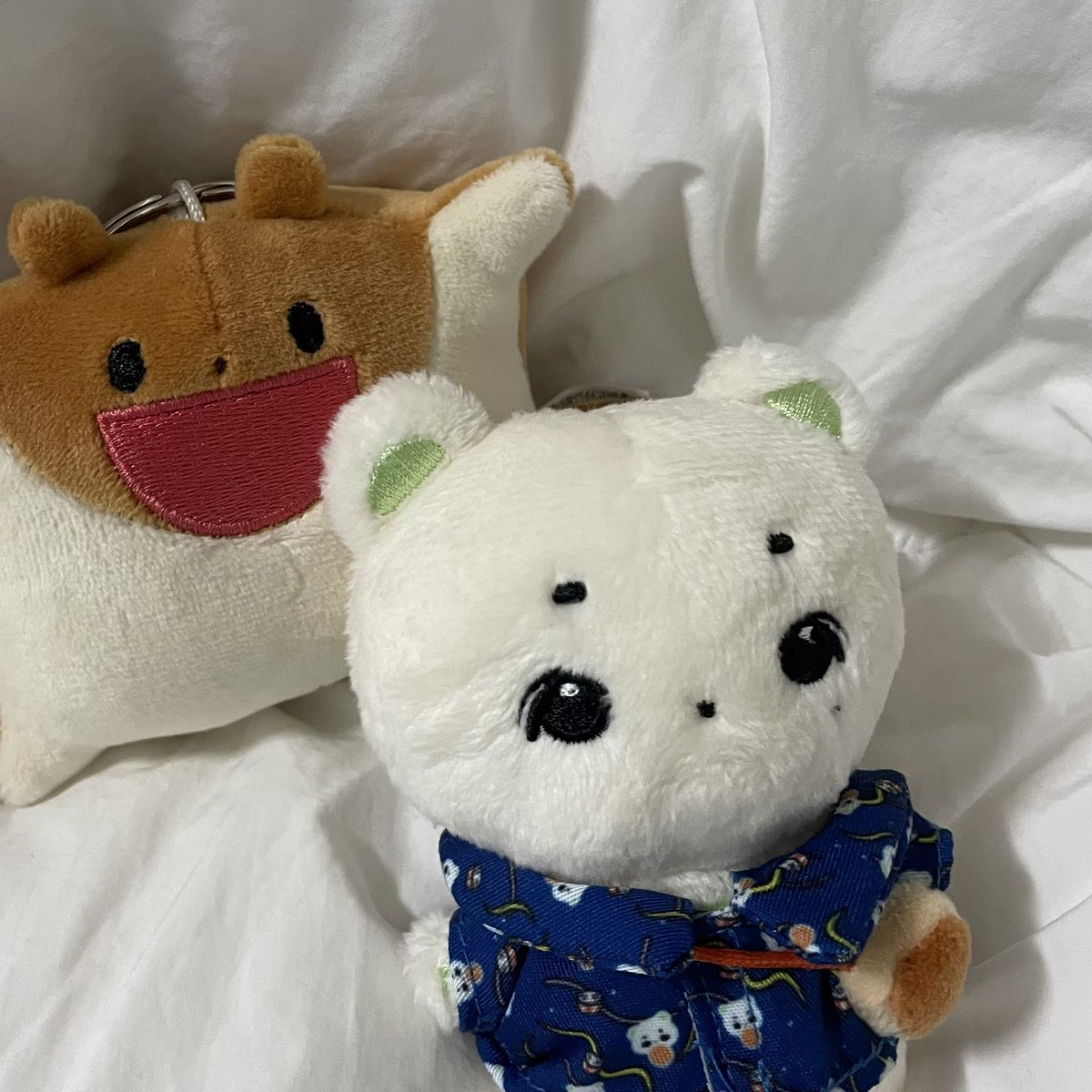 bear___pang's tweet photo. 💚 https://t.co/r78d2Fb1OI