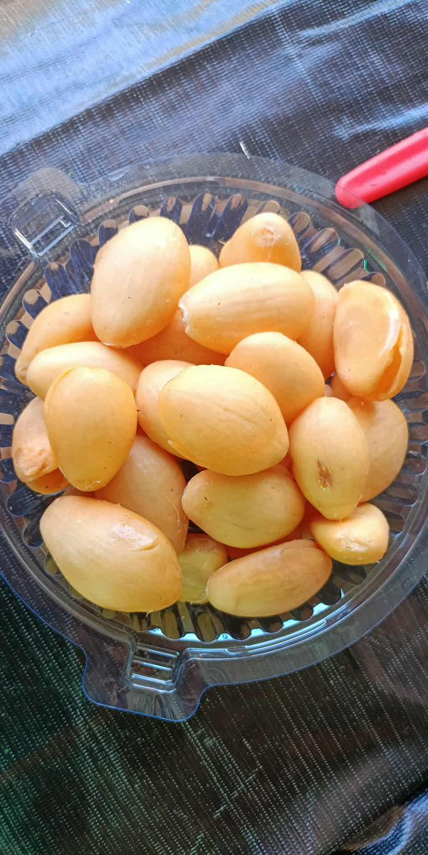 พรุ่งนี้มีสละลอยแก้วมีสละหวานกิโลละ 50 บาท
สละหวานคว้านกล่องละ50บาท
สละหวานแกะเปลือกกล่องละ50บาท
ใครสนใจสั่งได้นะค่ะมีส่ง