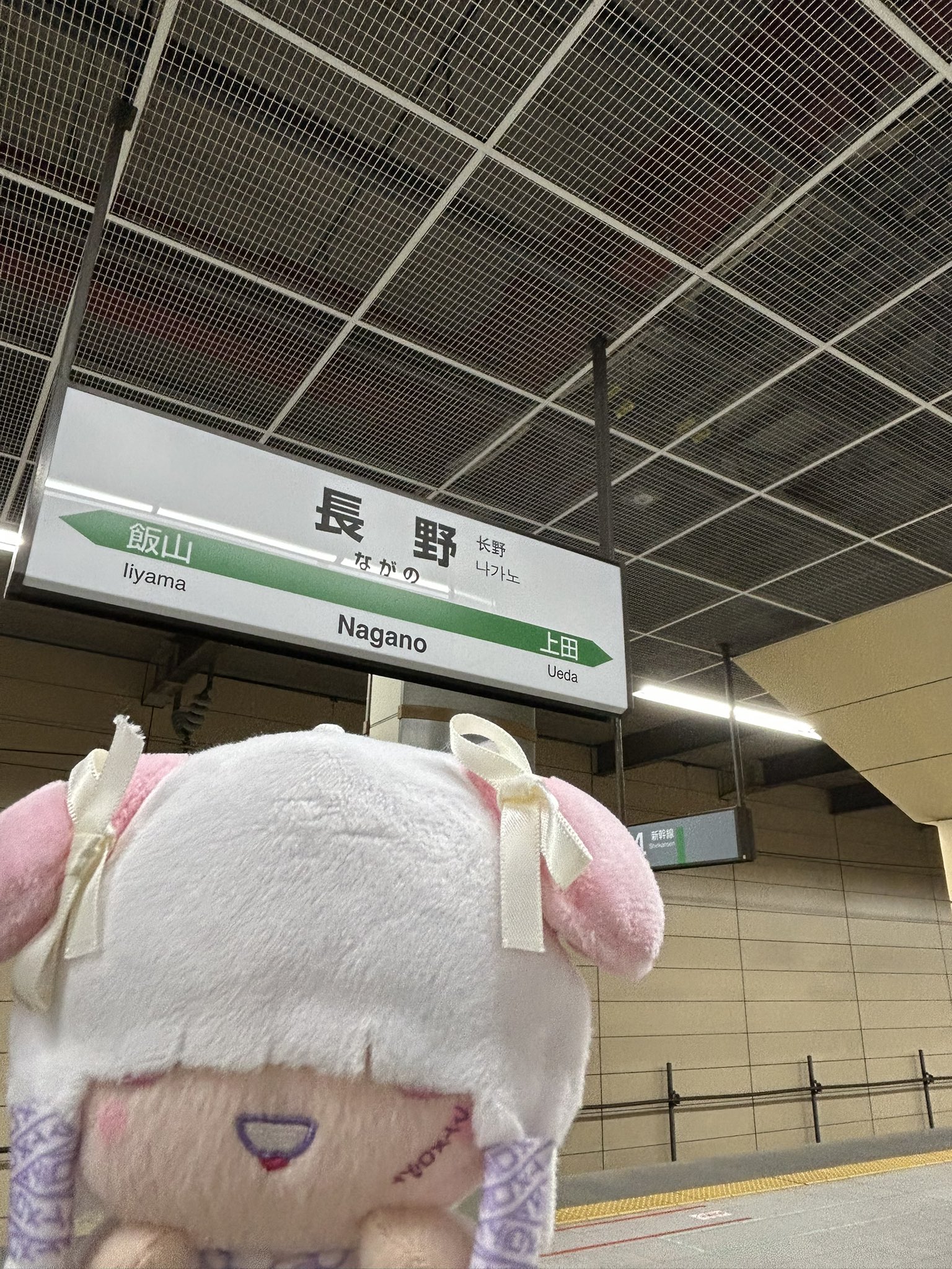 ぽむ (@pom_zw) / X