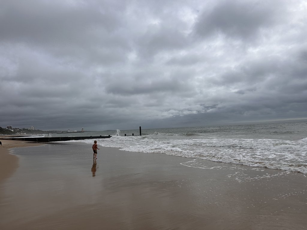 Sharkie & Bear tweet media