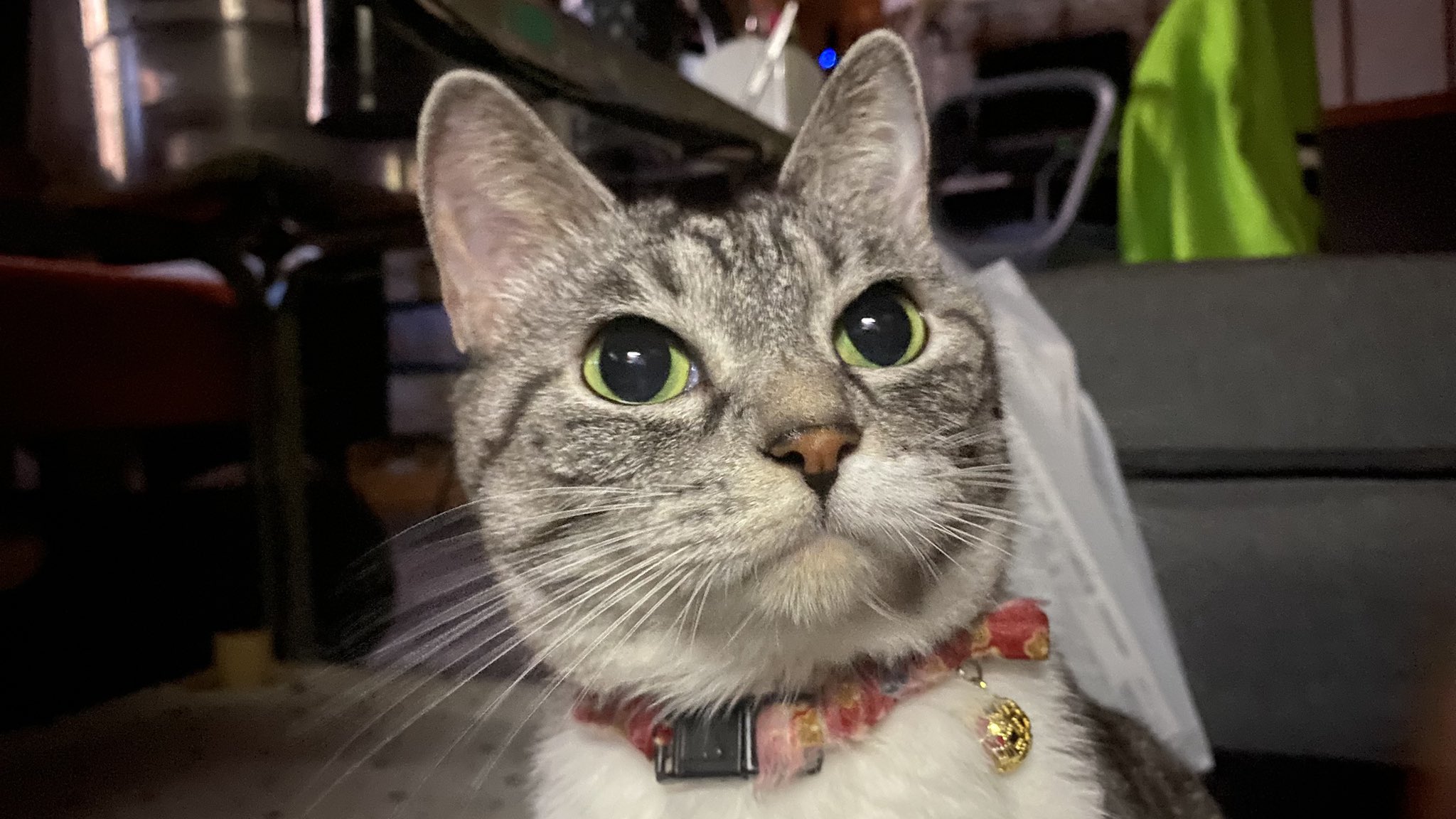 ゆっくりⴲ on X: 