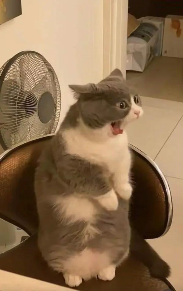 AAAAAAAAAAA