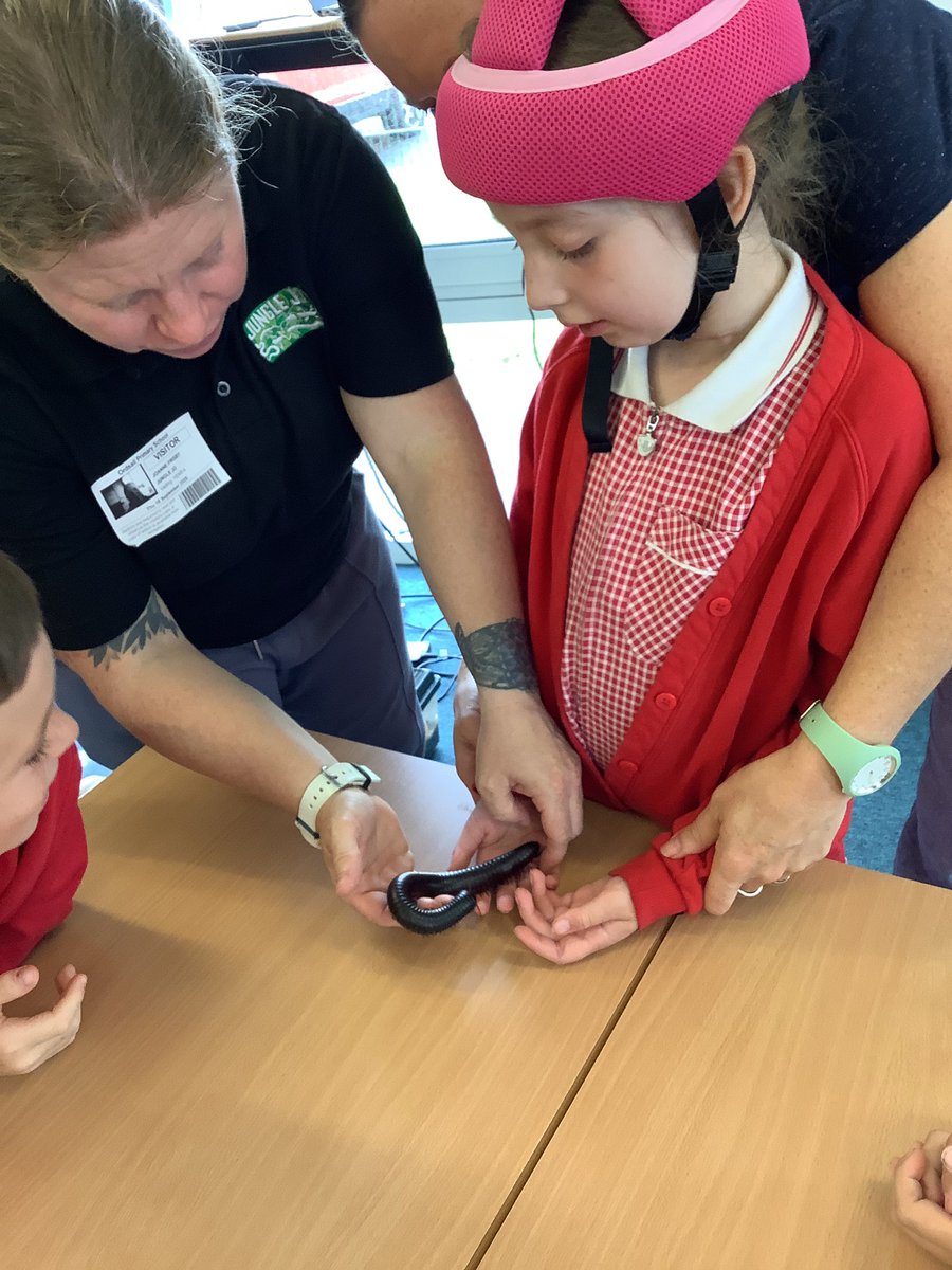 Year 4 Ordsall Primary School tweet media