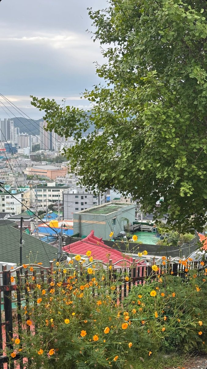 슬슬 막촬 소식이 들리는것같은데 다림이는 아직 남았는지 궁금함 이제 날씨도 추워지는데 별탈없이 크랭크업되면 좋겠다