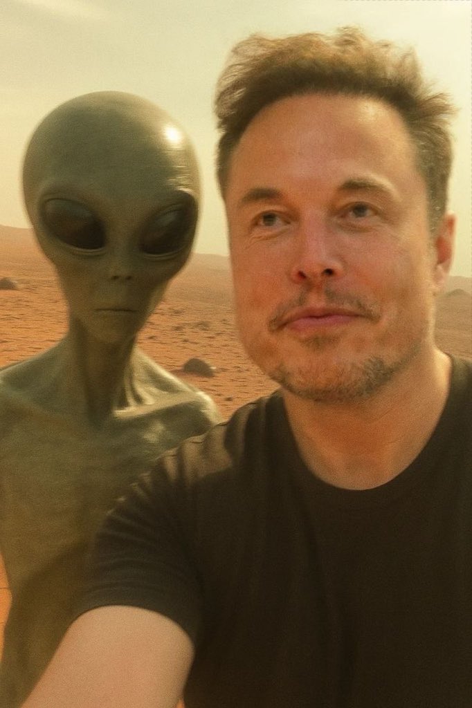 DogeDesigner tweet media