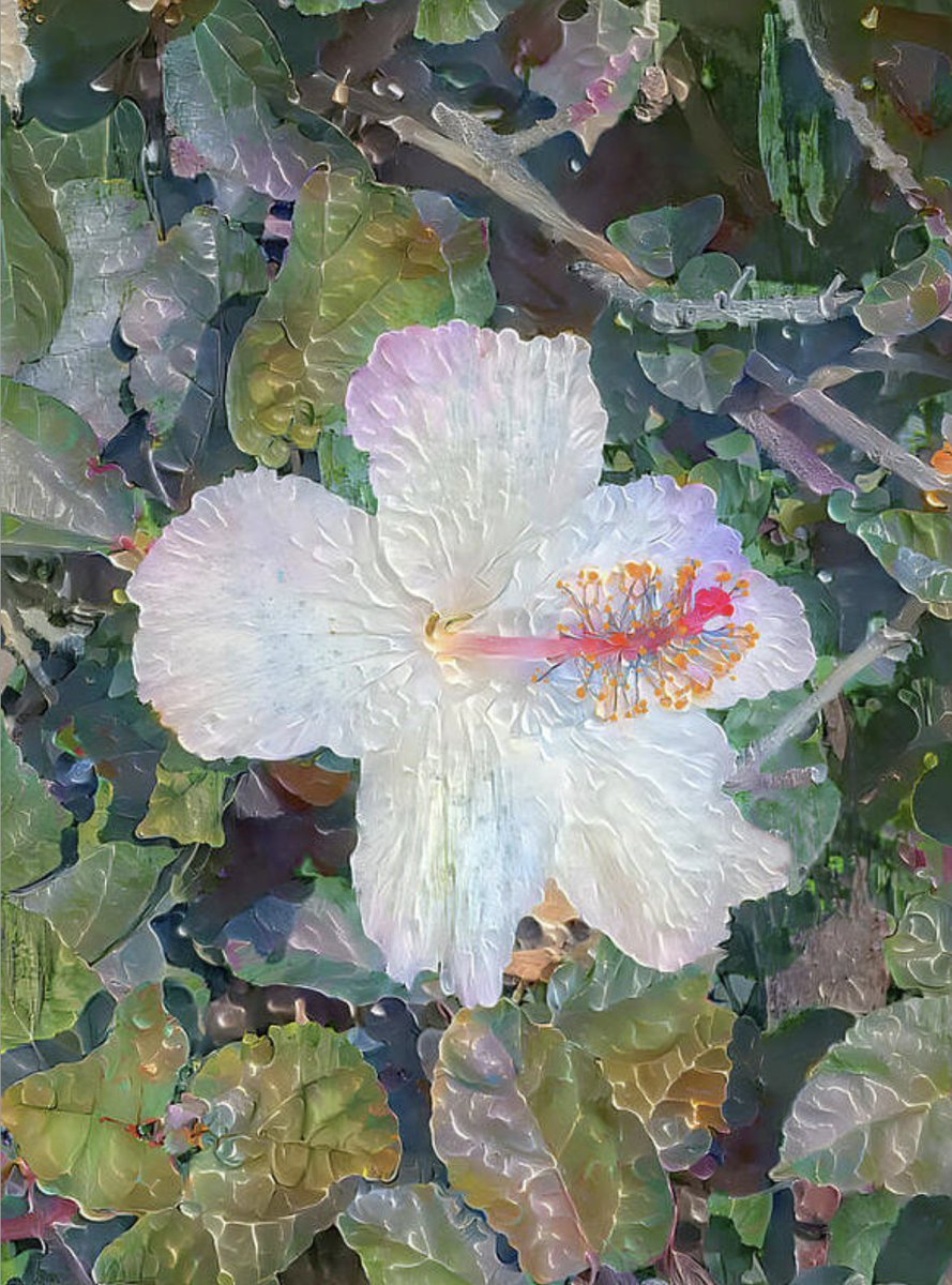 DeborahLeagueFA's tweet image. Enchanted hibiscus.

ART - deborah-league.pixels.com/featured/encha…

#ayearforart #buyintoart #wallart #homedecor #giftideas #lifestyle #colorful #art #artist #artwork #artmatters #interiordesign #artforsale #artprints #hibiscus #flowerart #floral #gardening #photography #digitalart