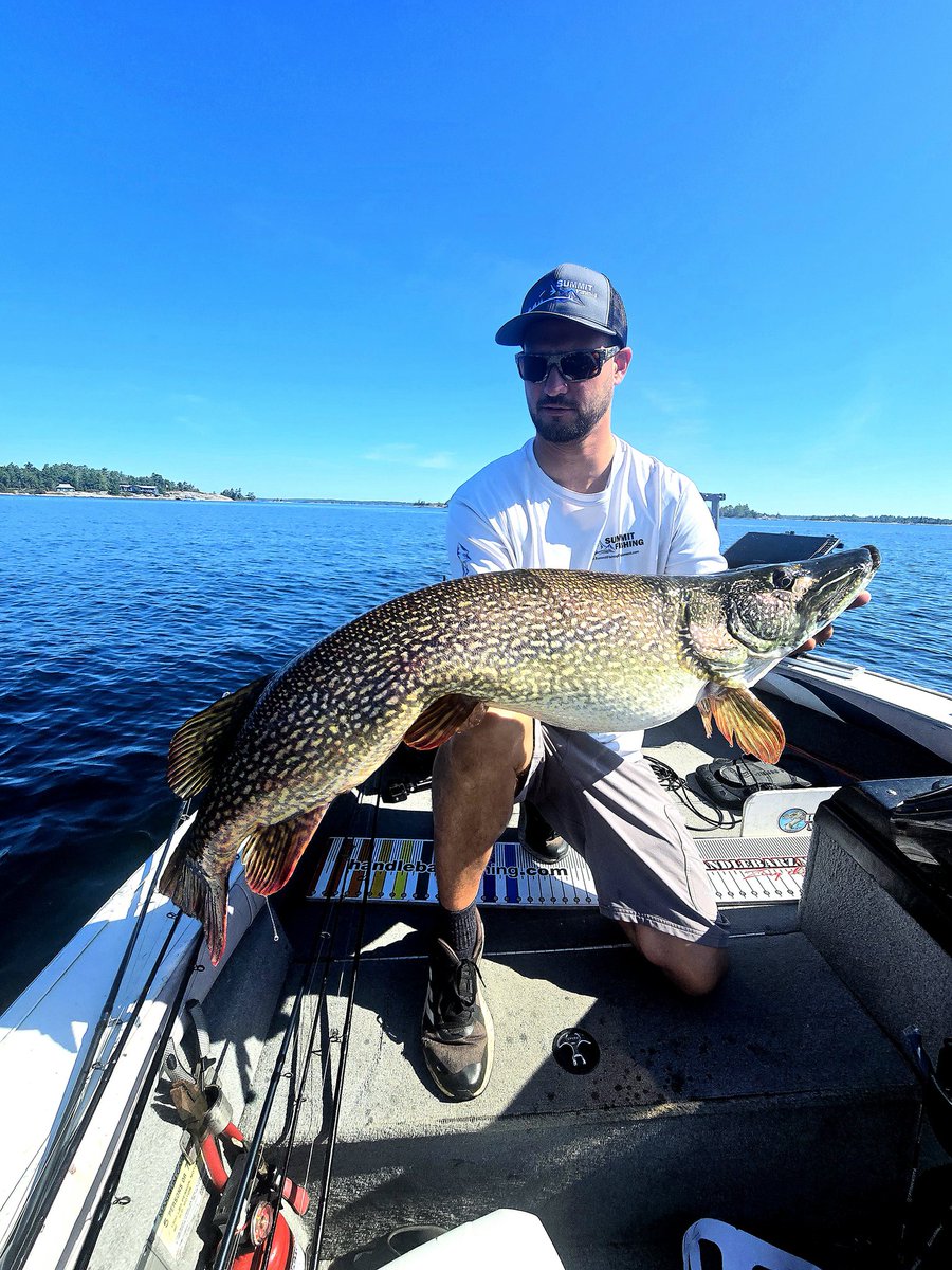 This fish is absolutely amazing. I've caught some really big pike in my life. The longest one being forty five inches. But that said, this fish is definitely up there for weight at 41 inches long. #Musky #Muskie #MuskyFishing #Esox #BigMuskie <a href="/StixnStonesInc/">Stix & Stones®</a> <a href="/BassProShops/">Bass Pro Shops</a>