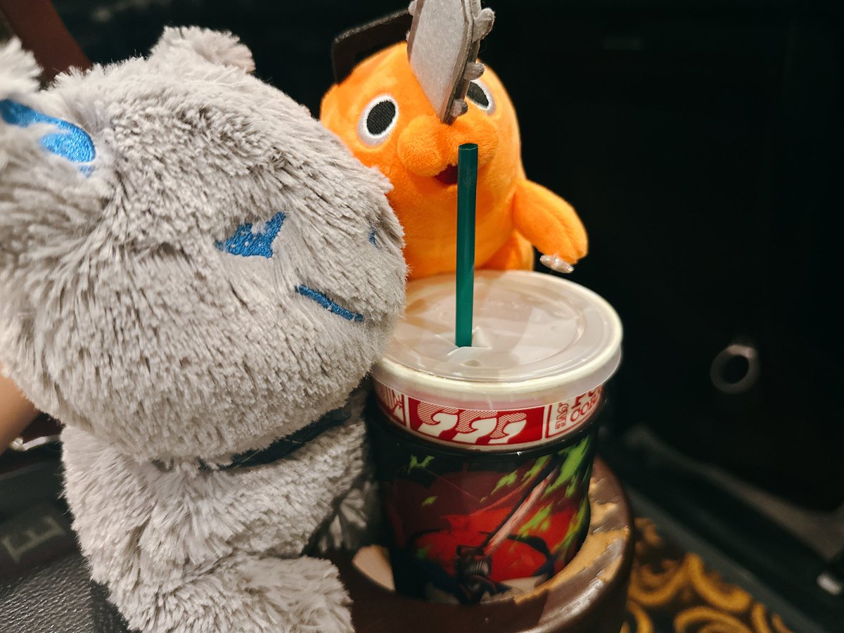 ねこちゃんとポチタは準備万端！！ 全く0時に思わないほどのテンション