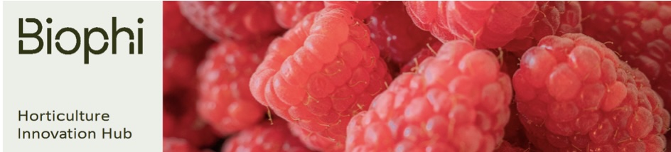 Today, the Center for Horticultural Innovation, based in Leamington, ON, rebranded as Biophi.  Best wishes to Matt Korpan, executive director, and his inspiring team. <a href="/growernews/">The Grower</a>