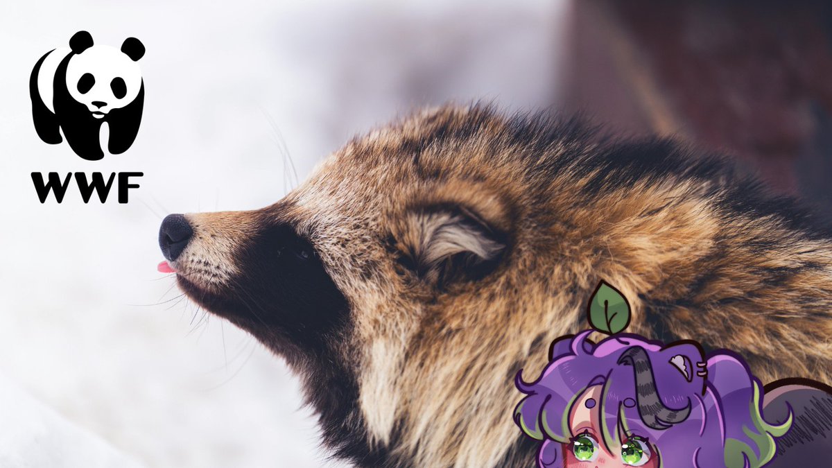 I am proud to announce I am teaming up with <a href="/WWF_streamers/">WWF Wild-Livestreamers</a> and <a href="/tiltify/">Tiltify</a> for their Go Live for Nature 2025 campaign!

Together, we can help restore and protect the environments of endangered species so humans can live in harmony with nature 🦝🪻🌿

Tiltify.com/@lx3-oblivion/…