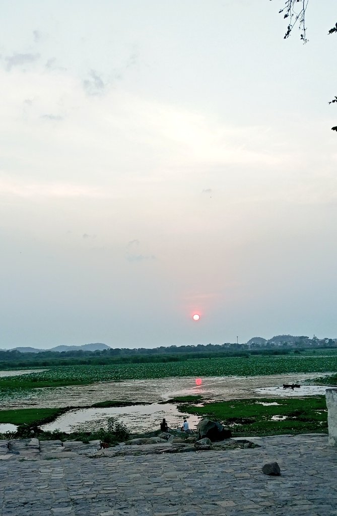 __S_h_r_e_e__'s tweet image. ये वक़्त भी गुज़र जायेगा... 🍁