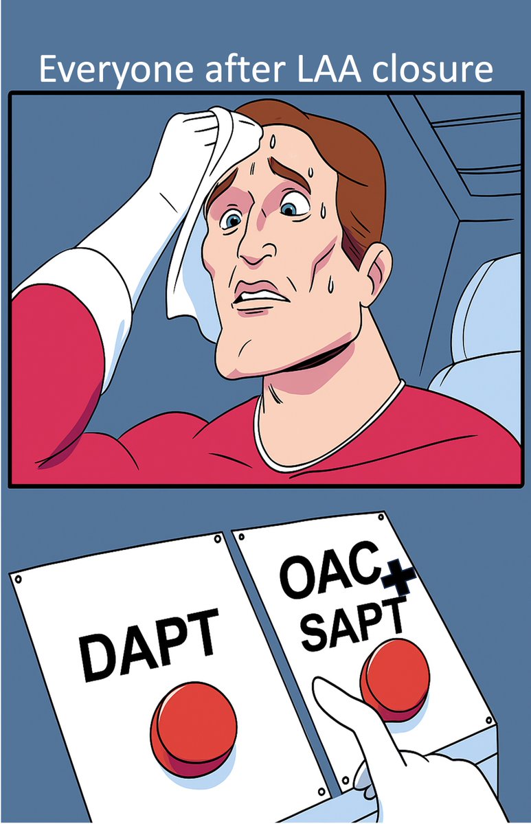 Lukas Urbanek tweet media