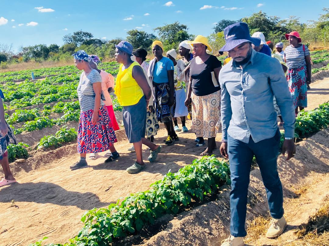 Kutsaga Research tweet media