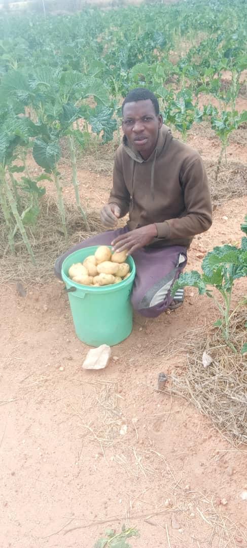 Kutsaga Research tweet media