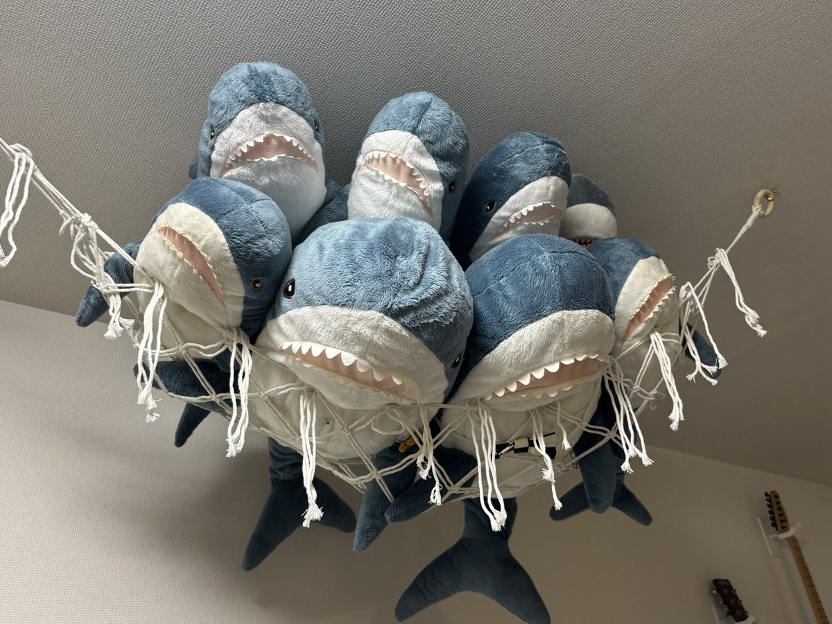 10Ymk's tweet image. サメを天井に避難させてみました

#ikeashark #shark
#IKEA #ikeaのサメ
#サメ