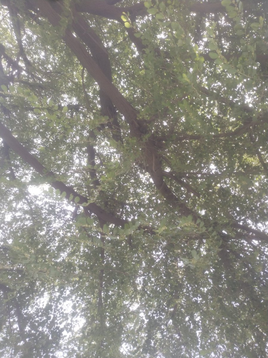 Sophie Rain leaks mla💯💯