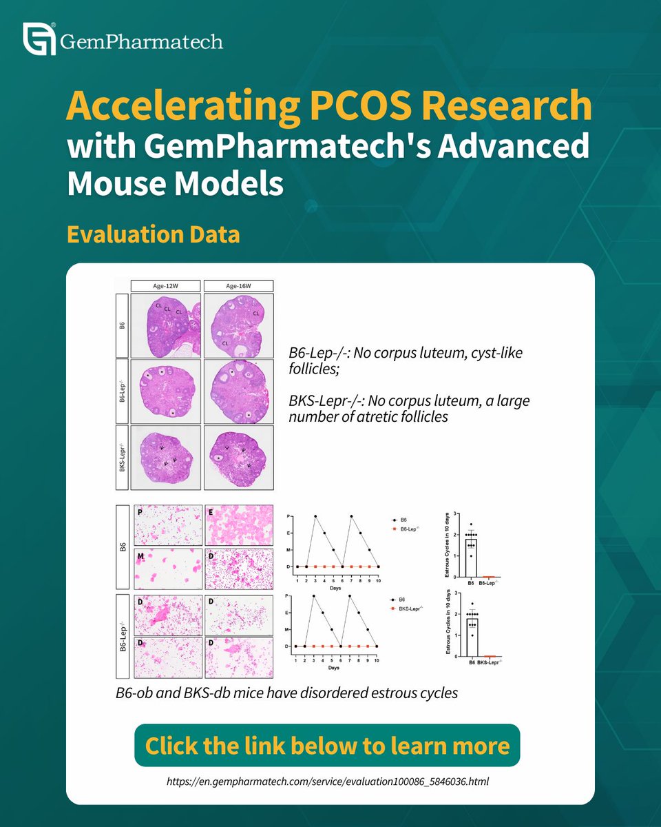 September is Polycystic Ovary Syndrome (#PCOS) Awareness Month. #GemPharmatech advances PCOS research by providing a comprehensive suite of #preclinical solutions backed by validated models that recapitulate the disease’s biological complexity. Learn more: buff.ly/6PydytW