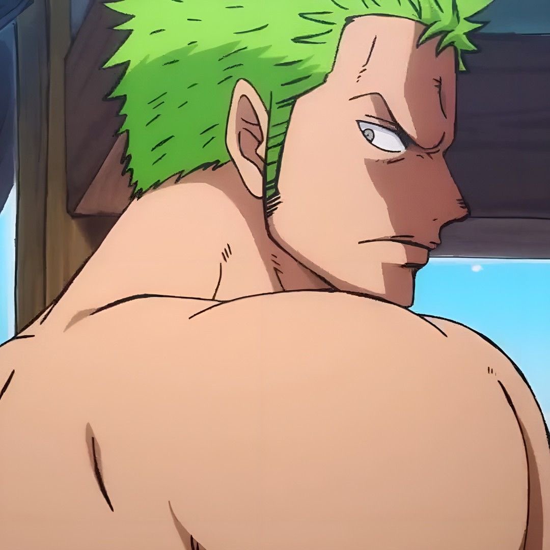 zoro year ꨄ tweet media