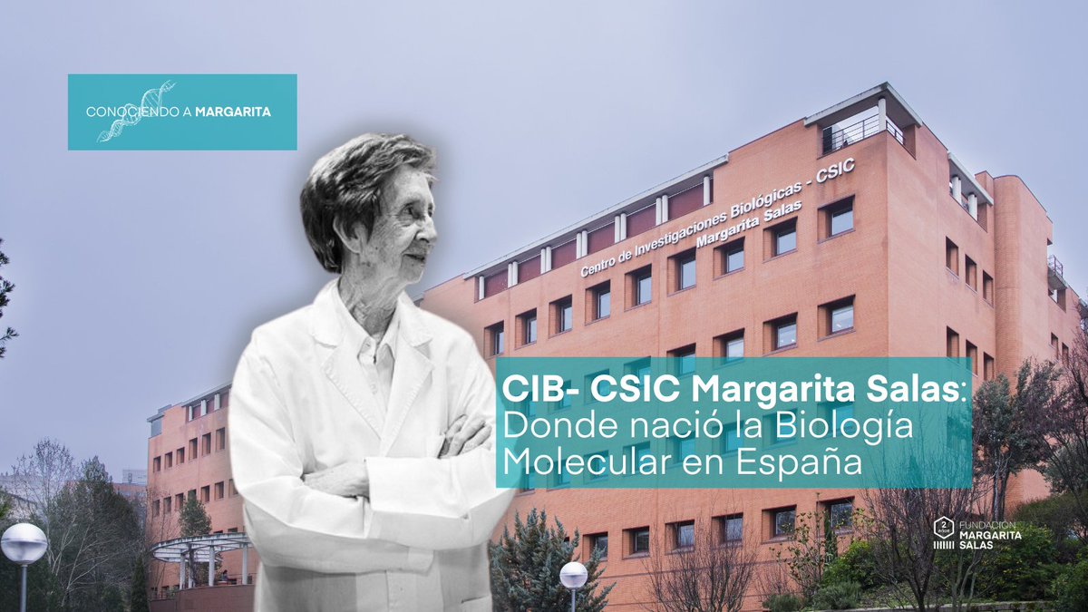 MsalasFundacion's tweet image. El @CIB_CSIC  forma parte inseparable de la historia de #MargaritaSalas. Allí defendió su tesis, allí volvió tras su estancia con Severo Ochoa en Nueva York, y allí abrió junto a Eladio Viñuela un laboratorio que marcaría un antes y un después

#CIBMargaritaSalas #CSIC