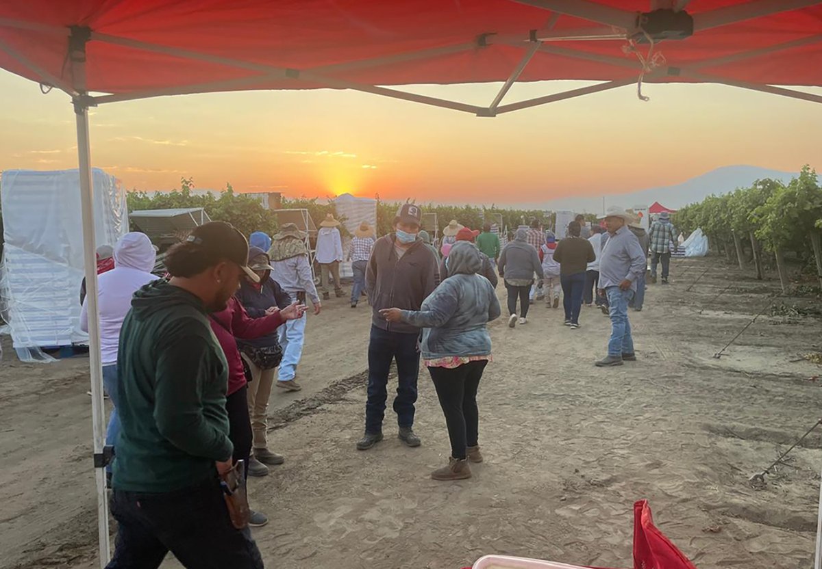 Raids and Detentions Affect Workers Economically and Mentally elpopularnews.com/2025/09/18/rai…