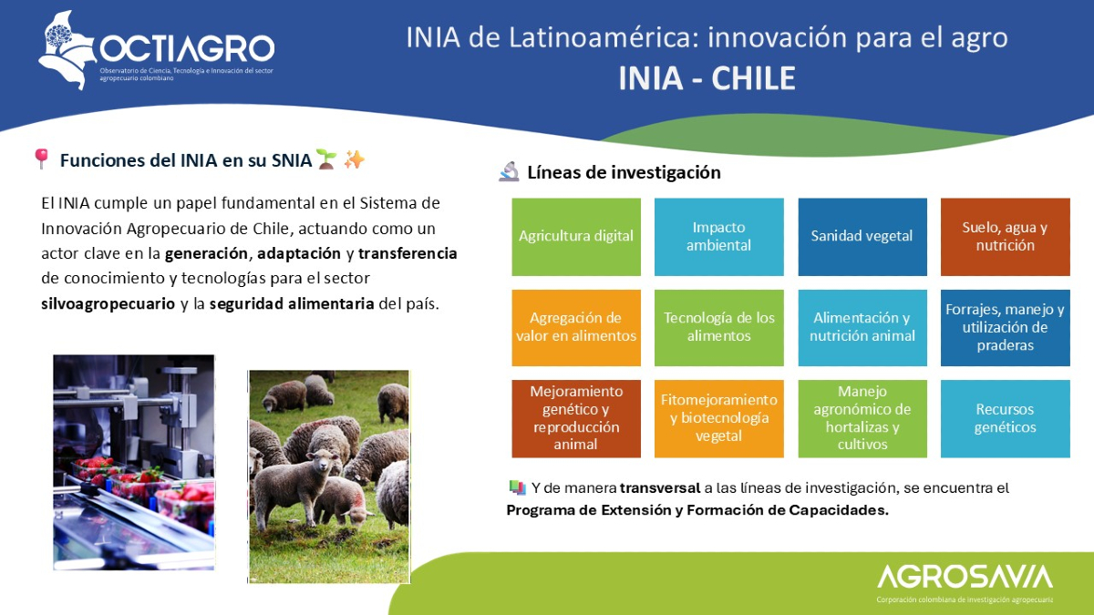 SomosAGROSAVIA's tweet photo. 🇨🇱 Chile – INIA
🌾🔍 Los INIA impulsan el desarrollo agropecuario basado en conocimiento. Hoy te invitamos a conocer al INIA Chile, que promueve innovación para enfrentar desafíos climáticos y productivos en el agro.
Conoce más sobre los INIA de Latinoamérica: innovación para el agro.
#INIAChile #CTIA #ChileRural #OCTIAGRO#CienciaParaElAgro