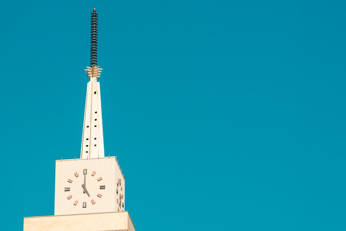 tc the teal-toned turtle tweet media