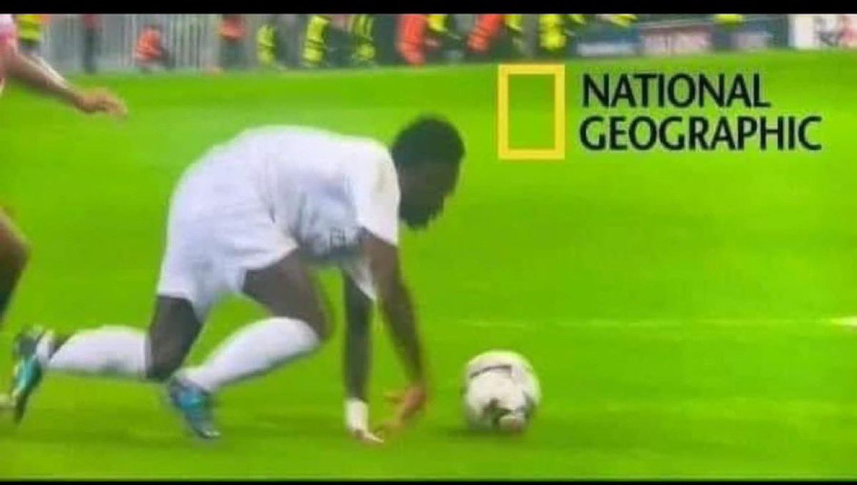 Davinson