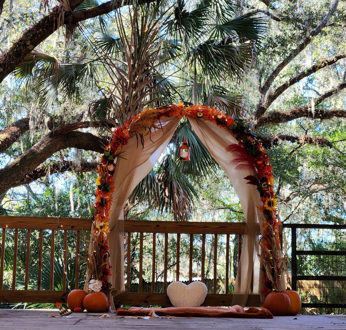 FLStateParks's tweet photo. Sept. 18 is National First Love Day!  🩷 🌿 

Everyone remembers the place that first sparked their love of nature. 

Was it a spring, a sandy beach or a wide-open prairie? Tell us how you first fell in love with #FLStateParks in the comments! 

***  
📍: Manatee Springs State Park 
💡: Plan your adventure at https://t.co/YhnWcMz9Bl. Before you visit, check the KNOW BEFORE YOU GO section on the park’s webpage for real-time updates and helpful information.  
.   
.   
#FLStateParks #ManateeSprings #TheRealFlorida #LoveFL