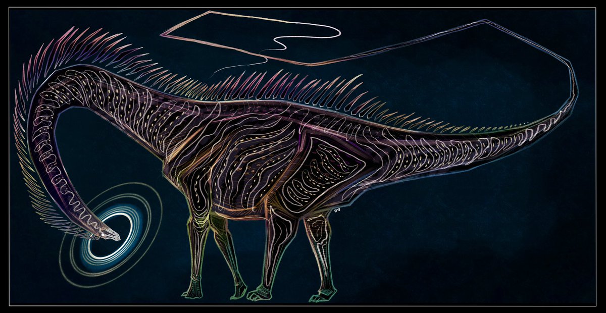 DinoDJ14's tweet image. Celestial Diplodocus sketch🪐