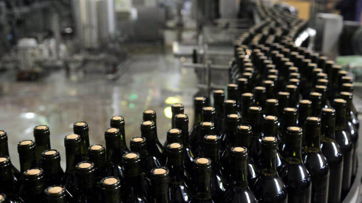 Caen las exportaciones de vino: Según datos del INV, en agosto se vendieron al exterior 17,3 millones de litros, 16,3% menos que en igual mes de 2024 y 5,1% por debajo de julio.
.
Lo comentamos en De pura cepa de Camponoticias en Radio Belgrano 👇🏻 
ar.radiocut.fm/audiocut/pura-…