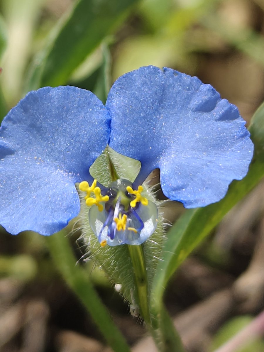 Nature is amazing #NatureLovers #NatureFacts #NatureIsAmazing #NatureIsMagic #naturephotography