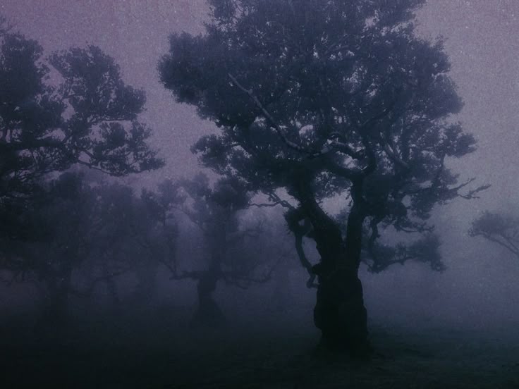 𝕰𝖑𝖊𝖒𝖒𝖎𝖗𝖊 tweet media