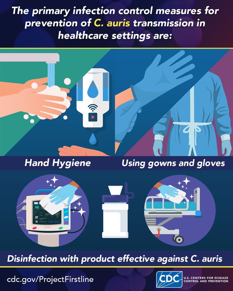 CDC_Firstline's tweet image. C. auris is a fungus that can cause severe, often multidrug-resistant illness in hospitalized patients. It spreads easily and often causes outbreaks in healthcare settings. Learn more about what infection control actions you can take to prevent the spread: cdc.gov/candida-auris/…