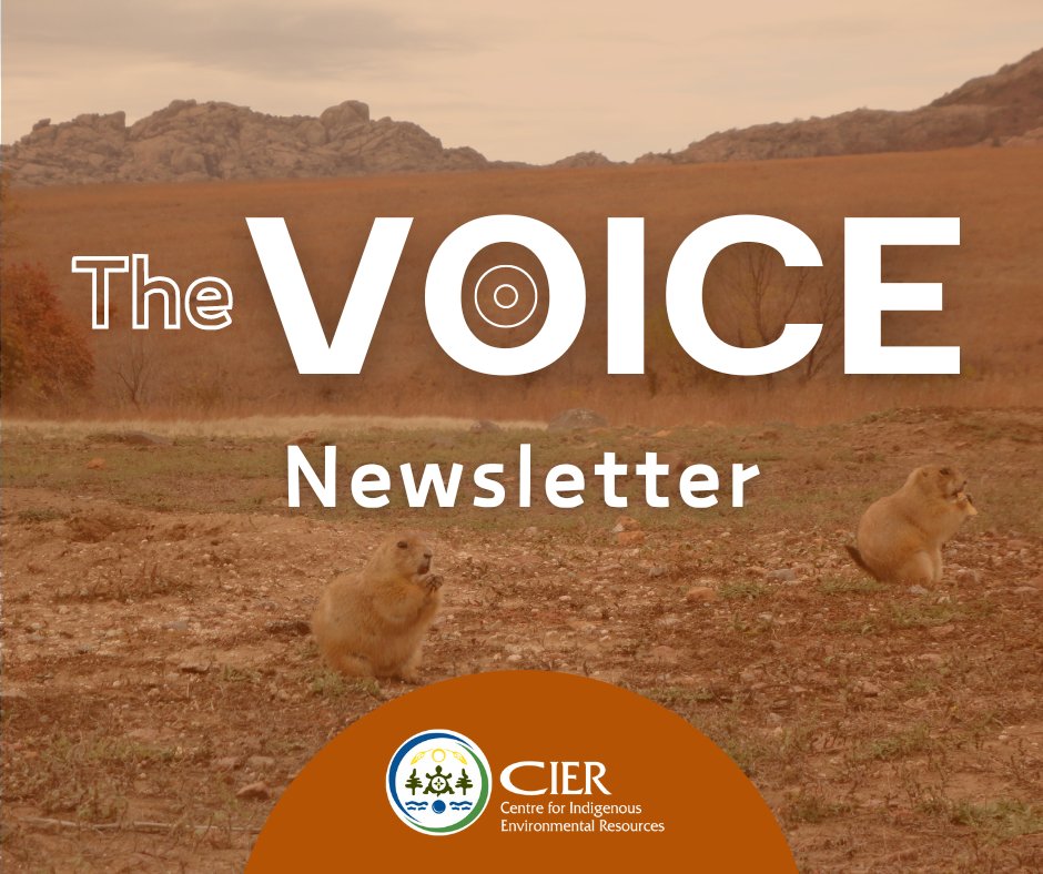 The fall 2025 edition of The Voice newsletter launches next week on the equinox. 🍂

If you're not already subscribed, stay in the loop here ➡️ yourcier.org/news/e-newslet…

#IndigenousKnowledge #ClimateAction