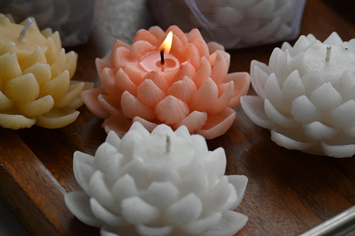Mikolo Uganda (@mikoloug) on Twitter photo Lotus🪷flower candles🕯
Don't show up to an engagement💍 party or bridal shower empty handed when you can gift🎁 something this thoughtful.
Scented🕯by: <a href="/MayanjaCandles/">Mayanja Candles</a>
📲 0772650557 Lotus🪷flower candles🕯
Don't show up to an engagement💍 party or bridal shower empty handed when you can gift🎁 something this thoughtful.
Scented🕯by: <a href="/MayanjaCandles/">Mayanja Candles</a>
📲 0772650557