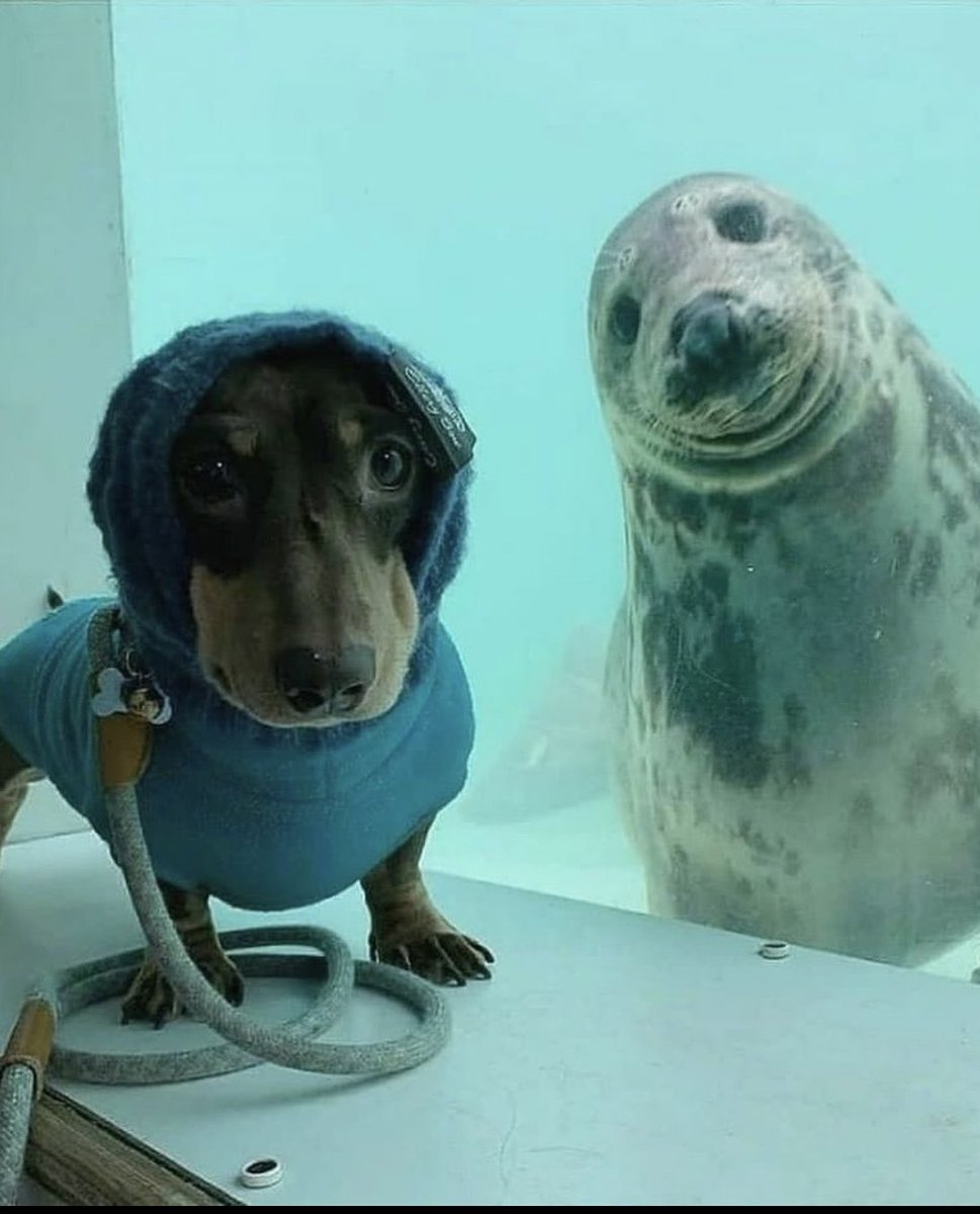 Let me tell you about my brother