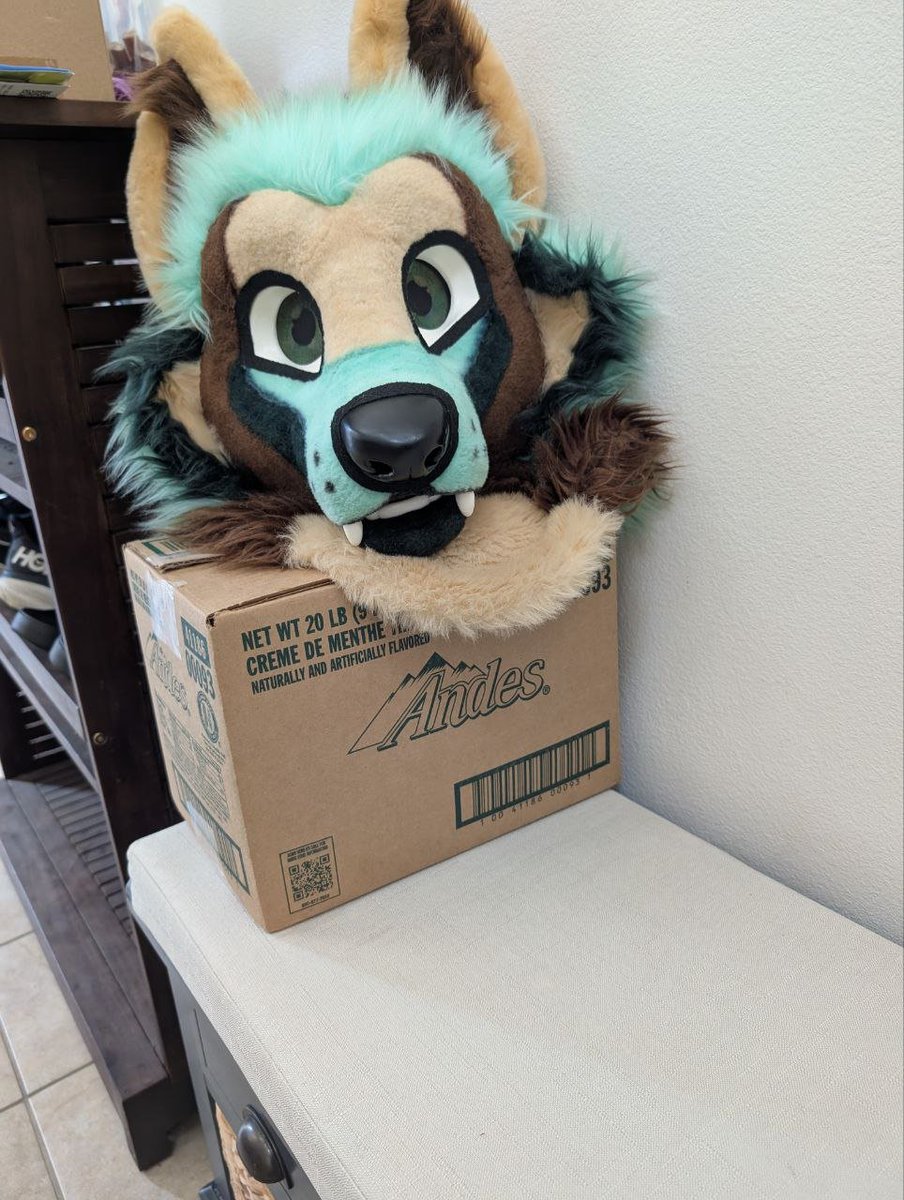 Getting packed for #AFC2025!