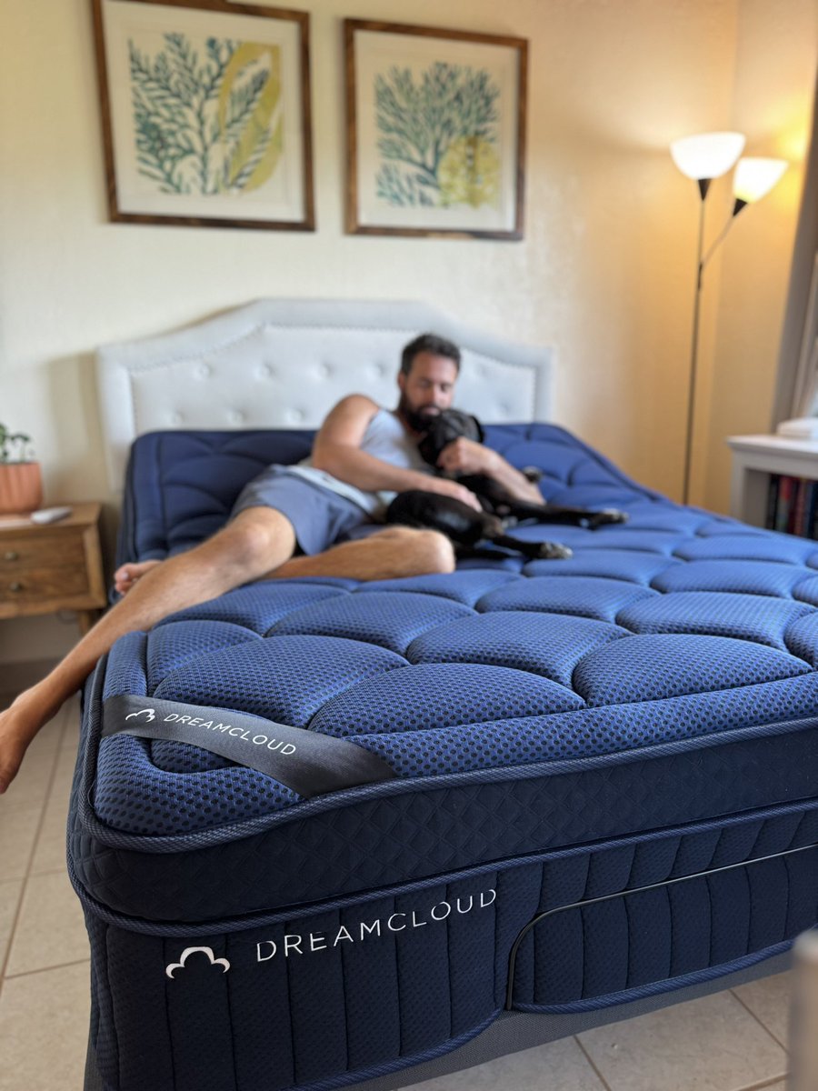 Lou Faiella tweet media