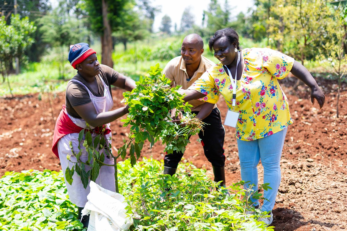 WingFarm tweet media