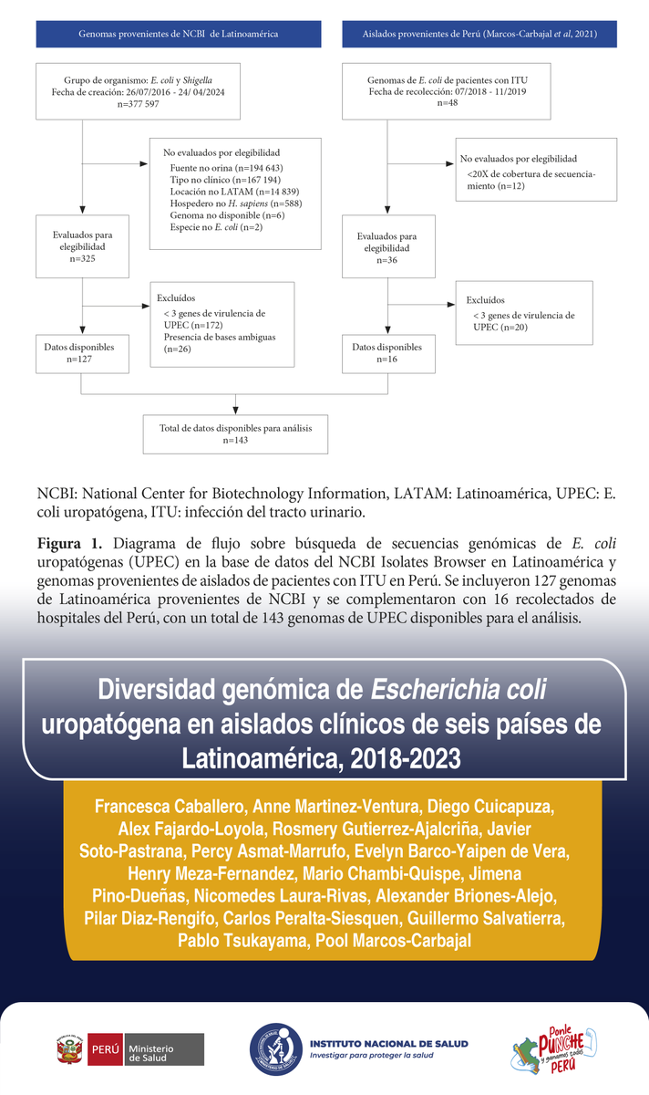 🦠Los resultados destacan la urgente necesidad de fortalecer el monitoreo de UPEC en Latinoamérica. Rastrear cepas resistentes e implementar medidas que limiten su propagación, es crucial para la eficacia de tratamientos disponibles.
✅doi.org/10.17843/rpmes…
#EscherichiaColi