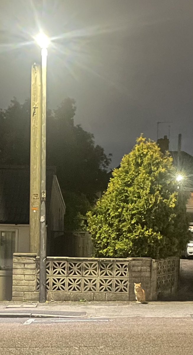 Steven Russell tweet media