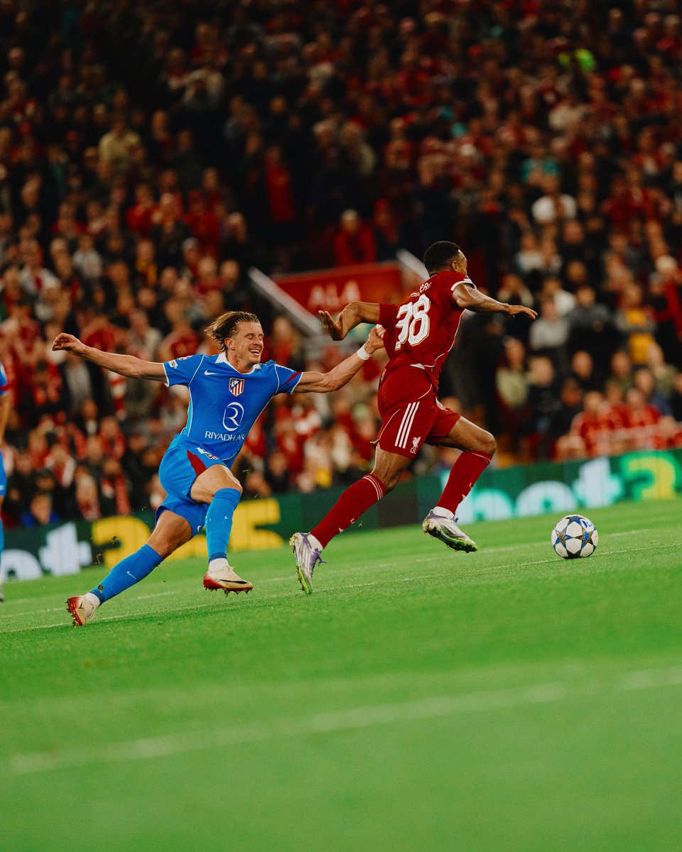 Steven Halliwell (@stehalliwell_) on Twitter photo 